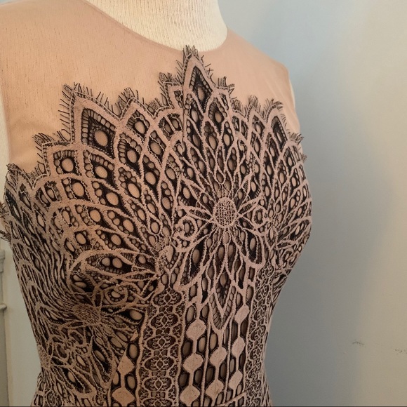 BCBG MaxAzria blush & black lace dress NEW nude - Picture 14 of 16